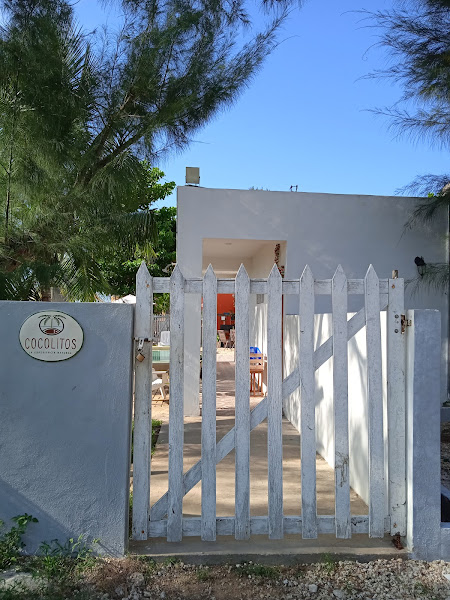 COCOLITOS Departamentos en Sisal