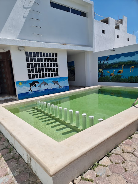 Departamentos "Casitas de Fini" foto 6