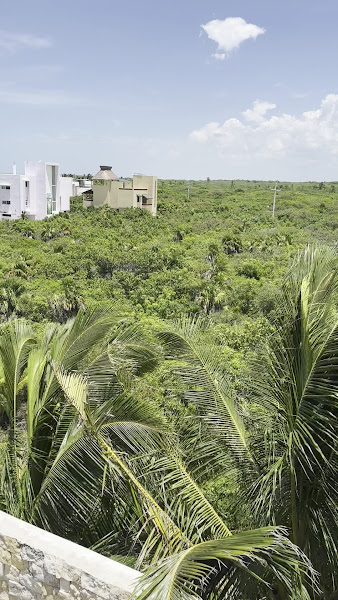 Ocean Villa foto 5