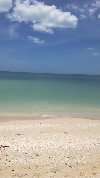 Renta de casas "Playa Blanca” foto 4